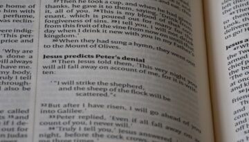 Jakie umiejętności techniczne wpisać w cv by znaleźć pracę w IT?