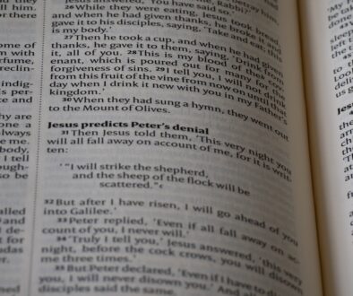 Jakie umiejętności techniczne wpisać w cv by znaleźć pracę w IT?