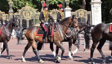 Czas present simple - wszystko co musisz wiedzieć o najprostszym z czasów