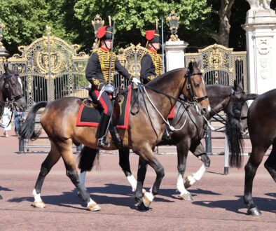 Czas present simple - wszystko co musisz wiedzieć o najprostszym z czasów